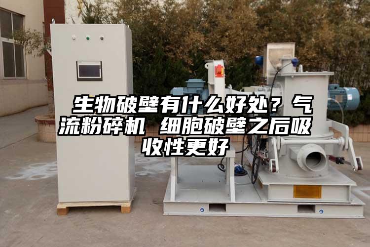  生物破壁有什么好處？氣流粉碎機 細胞破壁之后吸收性更好