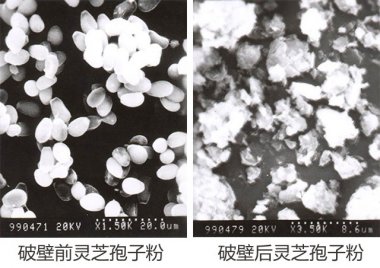 操作簡便等氣流粉碎機眾多優點